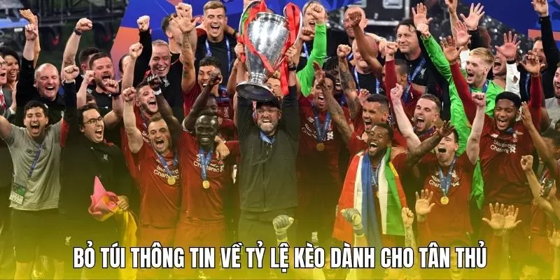 Bỏ túi thông tin về tỷ lệ kèo dành cho tân thủ