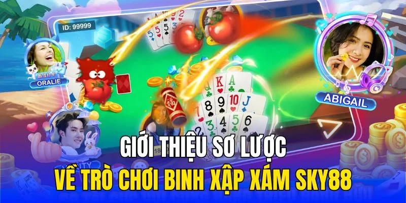 Giới thiệu sơ lược về trò chơi binh xập xám Sky88