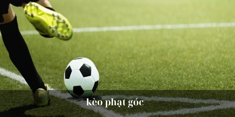 Kèo Phạt Góc Là Gì? Tổng Hợp Tỷ Lệ Cược Mới Nhất 2025