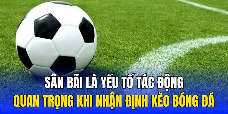 Sân bãi là yếu tố tác động quan trọng khi nhận định kèo bóng đá