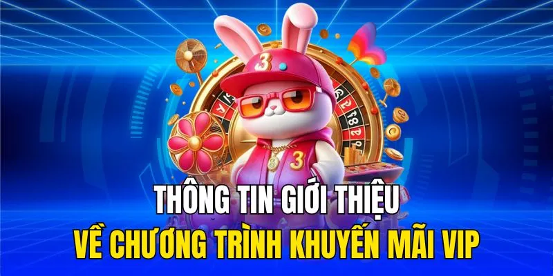 Thông tin giới thiệu về chương trình khuyến mãi VIP